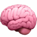 Pink brain illustration on a white background