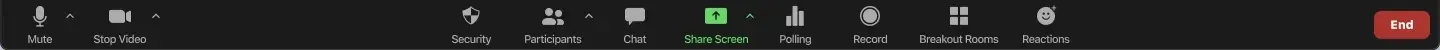 Dark video-conferencing toolbar with white icons and a red “End” button at the top edge of the screen